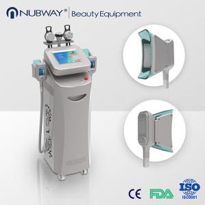 China Cryolipolisis machine freeze fat cool sculpt fat freezing treatment fat cavitation machine for sale factory