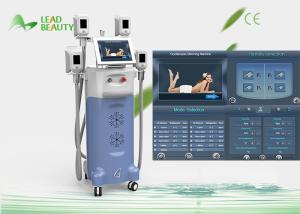 China Effective Spa cryolipolysis Body Slimming Machine Safe With 10L big water tank factory