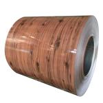 PPGI Color Coated Steel Coil/Sheet/Plate in RAL 3019 RAL 3020 with Punching