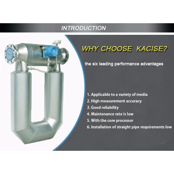 High viscosity low price petroleum mass flow meter flow meter