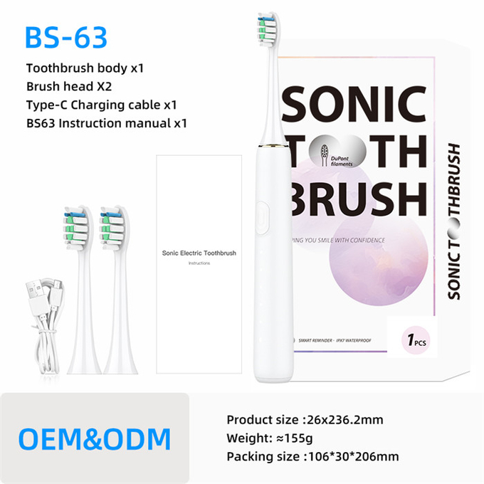 31200VPM IPX7 Adult Electric Toothbrush Oral Care Type-C Rechargeable