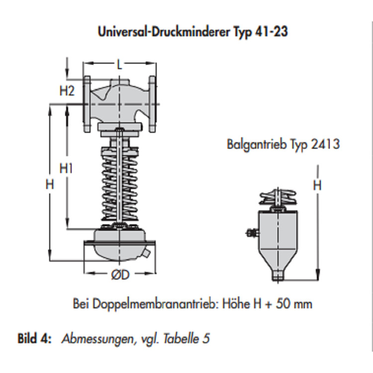 DN 15 - DN 100 Pressure Relief Valve Pressure Safety Valve DIN Version