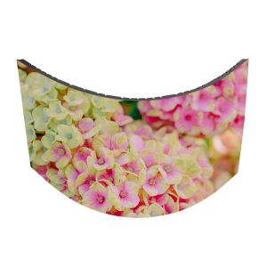 Magnetic GOB Soft LED Module Flexible P1.5 P1.8 P2 P2.5 P4 for Front/Rear