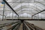 Modern Agricultural Strawberry Growing Troughs Greenhouse PVC Hydroponic Grow