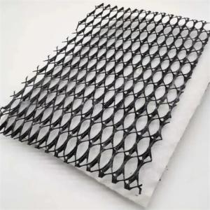 China 3D Composite Drainage Geonet for Municipal Works and Landfill Reservoirs Solution factory