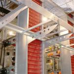 4 tiers 8 doors Automatic Layer Chicken Cage For Layers Q235 Steel Wire