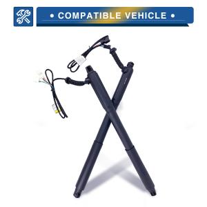 China Steel Rubber Car Rear Power Liftgate With Efficient 51247332695 factory