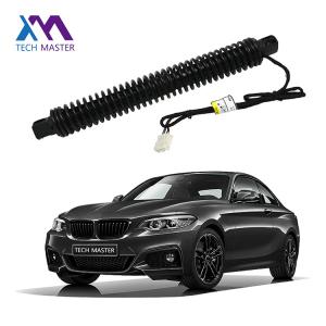 China 51247185714 Rear Right Power Lift Gate For BMW 7X0LI F02 2010-2014 factory