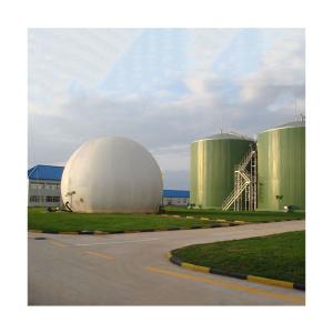 China Pig Manure Digester Tank Biogas Anaerobic Digester Capacity factory