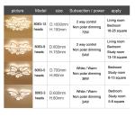 Standard Acrylic ceiling light fixture for Living room Bedroom Lighting Fixtures