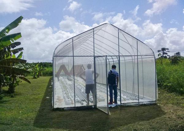 UV Protection Small Polycarbonate Greenhouse Mini Tunnel Greenhouse With Rust