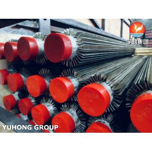 ASTM A213 TP316L Longitudinal Finned Tube Furnace Boiler