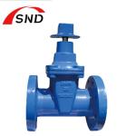 Cast Iron Gate Valves For Industrial Chemical Industry