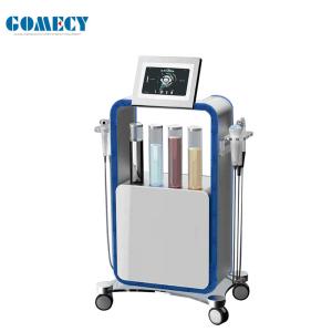 China Vertical 5 In 1 Hydrafacial Cavitation RF Facial Care Machine Skin Cleaning factory