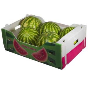 China Fruit box by PP material composition of low price factory