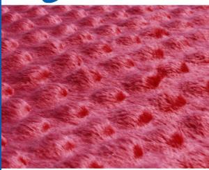 China Commercial 100 Polyester Minky Dots Fabric 75d/144f For Cloth factory