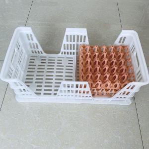 China Raw PP Hatchery Layer Egg Transport Box 700*360*270mm For Chicken Farm factory