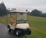 Left Hand Drive 2 Seats Electric Car Golf Cart With Deep Recycle Batteries