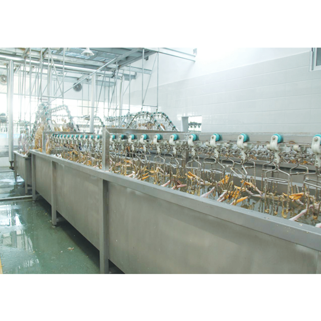 Halal Duck Goose Poultry Slaughtering Equipment Customized For Farm
