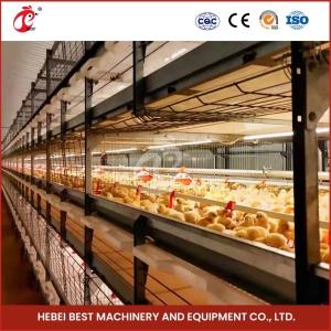 China 96-128 Chickens Broiler Chicken Cage Fully Automatic Mia factory