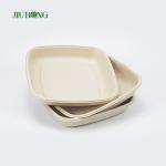 Bagasse Takeaway Disposable Sugarcane Paper Plates Biodegradable
