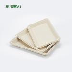 PLA Biodegradable Bagasse Tableware Dish Fast Food Serving Tray