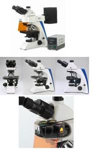 China HBO FL Unit Upright Fluorescence Microscope , Laboratory Biological Microscope factory