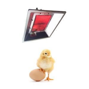 2.7 KG LP Gas Brooder Heaters 320*270*130mm For 800-1000 Brooding Chicks