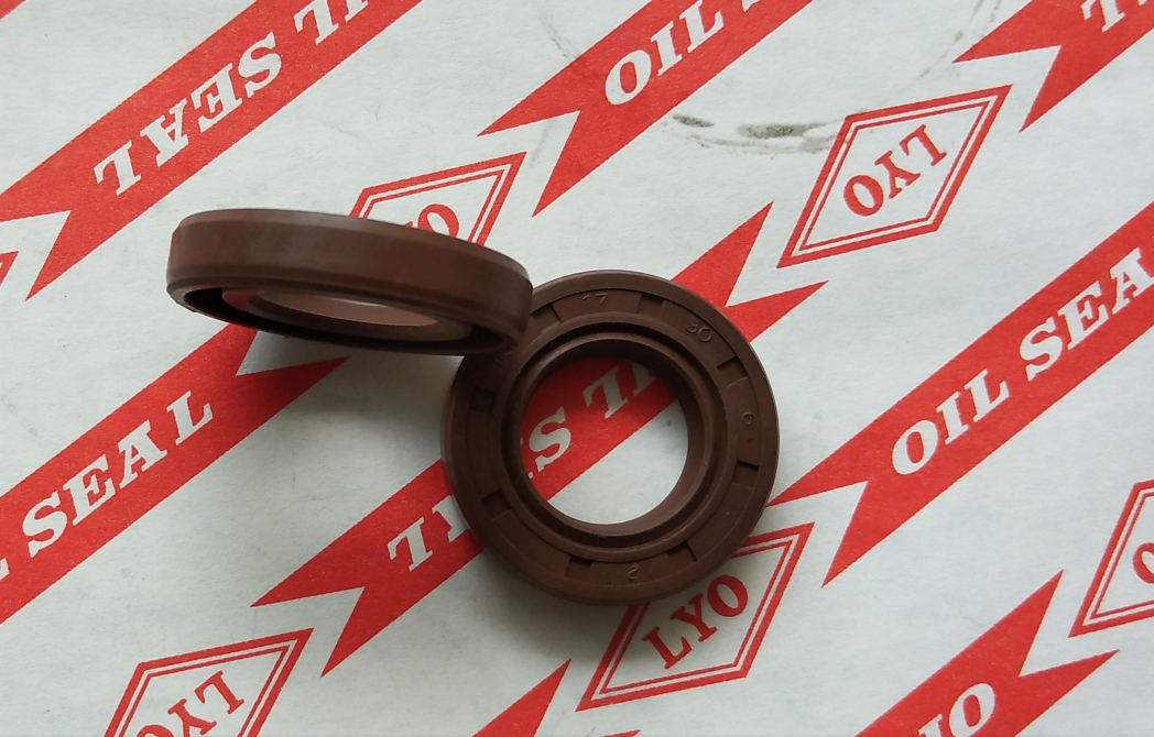TC framework oil seal,model 17*30*6,NBR material,color is generally biack and brown.