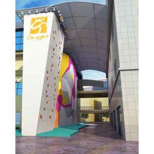 Adventure park Safety High Rock Climbing Wall With 1 Year Warranty Big Size