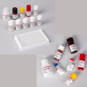 China Human Pro-BNP Elisa Kit / Pro-Brain Natriuretic Peptide Elisa Kit factory