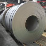 304L 304 Stainless Steel Sheet Coil 0.5mm 1.5mm 2.0mm 2.5mm Thick