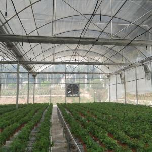 China Commercial Greenhouse Rolling Benches Transportable Breeding Nursery Seedling factory