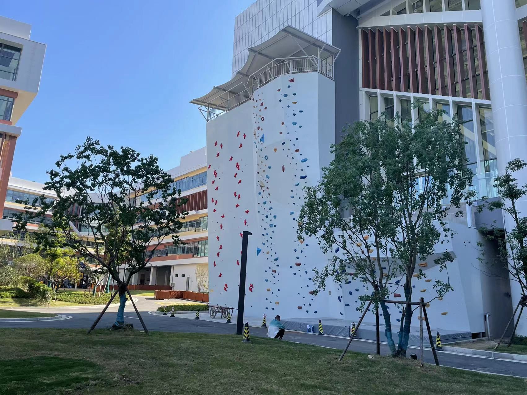 Non Fading Training Outdoor Wall Climbing EN 12572 Flat Climbing Board Wall