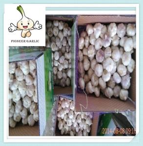 China New crop normal white garlic from China with good quality factory
