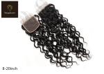 Fine Hand Tie 8A 10 inch Remy Human Hair Closure Water Wave 25.4cm