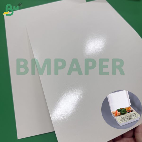 230g 275g Food Grade Lunch Paperboard Sheets 2S PE Coated Oil Resistant