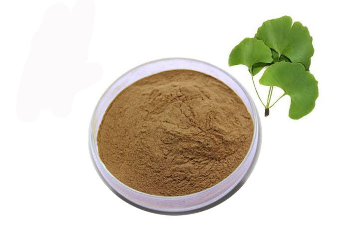 Food Grade Nutritional Brown Ginkgo Biloba Leaf Extract Powder