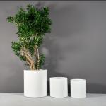 Get the Best Deals on Durable and Stylish Fiberglass Flower Pots for Your Garden
