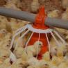 Buy cheap Closed House Chicken 20T Poultry Farm Equipment from wholesalers