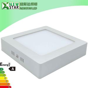 China 220x220mm Flat Led Ceiling Lights, Surface Mounted LED Panel Light factory