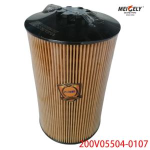 China Stock Diesel Engine 200V05504-0107 Oil Filter Sinotruk SITRAK T7H factory