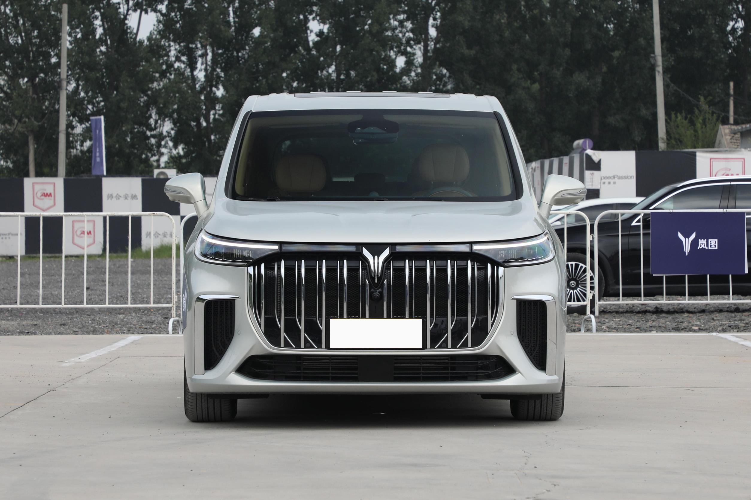 Voyah Dreamer MPV Electric Car Luxury New Energy Left Hand Drive Vehicles