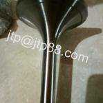Isuzu 6VD1 24V Diesel Engine Valve / Intake Valve And Exhaust Valve 8-97015-546