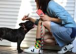 50 Ft 10 Foot Sublimation Dog Lead Pet Leash Harness Leash Combo