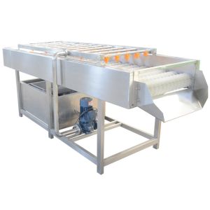 China SUS304 Fruit Vegetable Washing Machine on sale