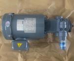 NOP Trochoid Pump TOP-203HBMVB Stock Sale
