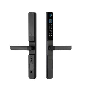 China IP65 Digital Door Lock Tuya Password Key Automated Door Lock factory