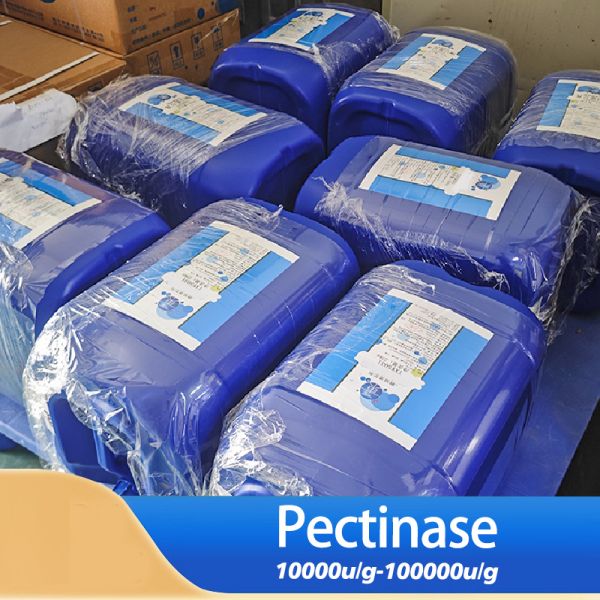 China 20000U/G Pectinase Enzyme Pectinase Liquid Customized Enzyme Activity factory
