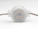 Waterproof Outdoor Garden Decoration Led Strip with SMD 5050 DC 24v Flexible
